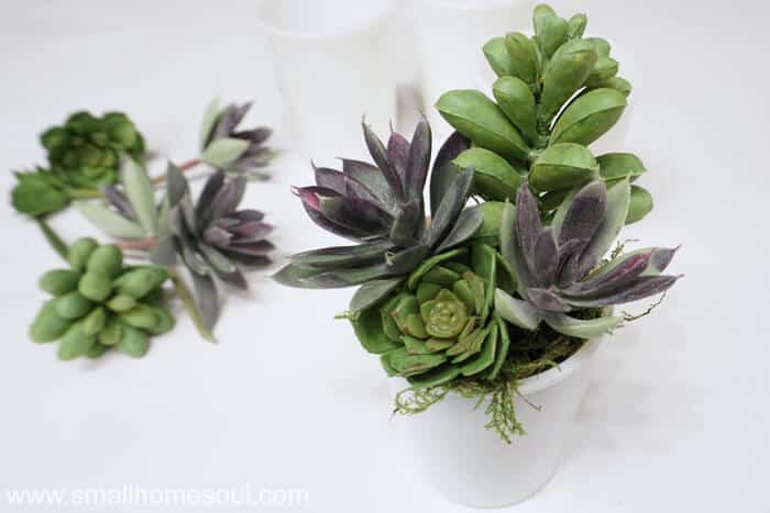 Lovely milk glass succulent planters are an easy diy gift idea.