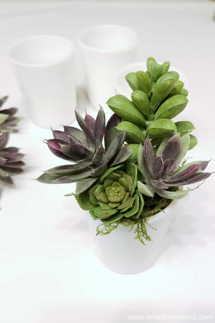 Everyone will love receiving this beautiful milk glass succulent planter.