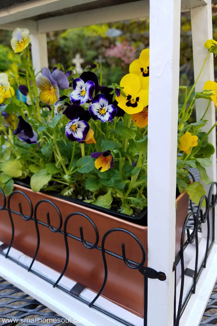 Plant beautiful violas in your updated hanging flower pot. Just a little paint and it's beautiful.