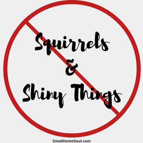 Focus on what's important and don't be distracted by squirrels and shiny things.