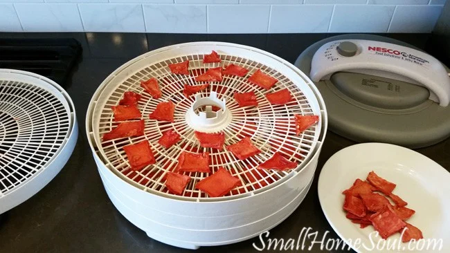 How to Make Watermelon Candy - Summer's Sweet Treat - Girl, Just DIY!