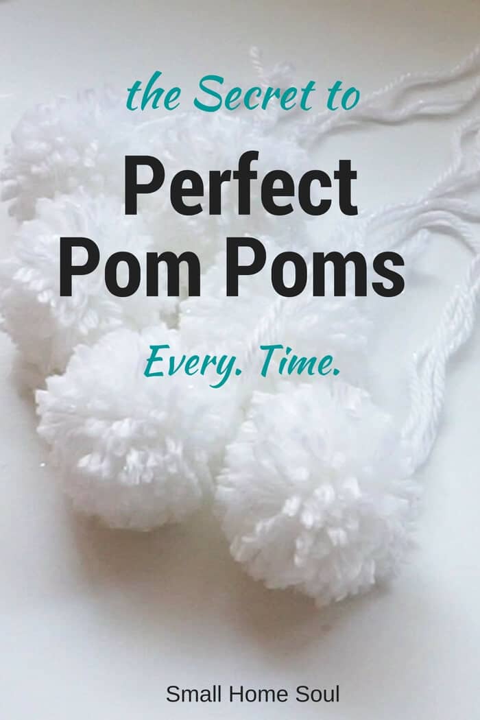 Perfect Pom Pom Pin